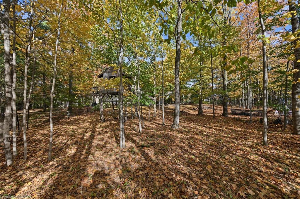 872 6th Conc Road W Property Photo 45