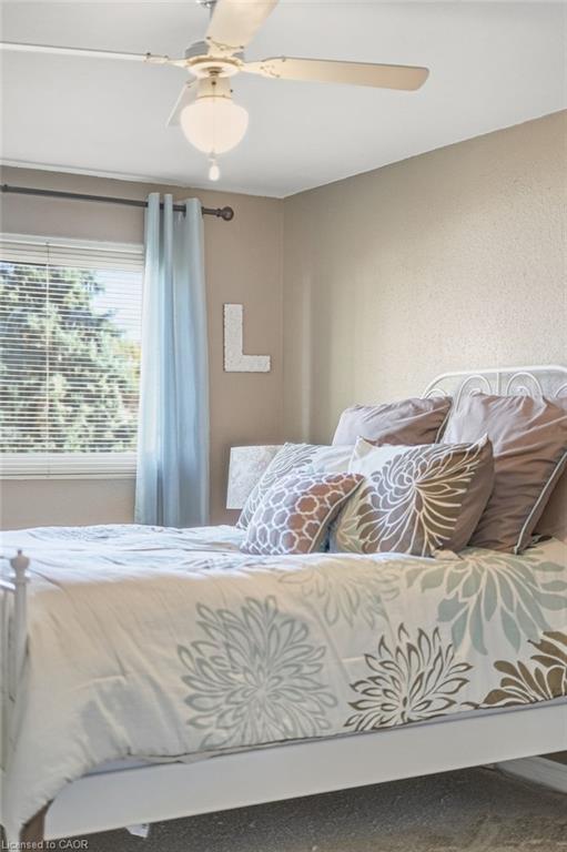 53 Bryna Avenue Property Photo 17