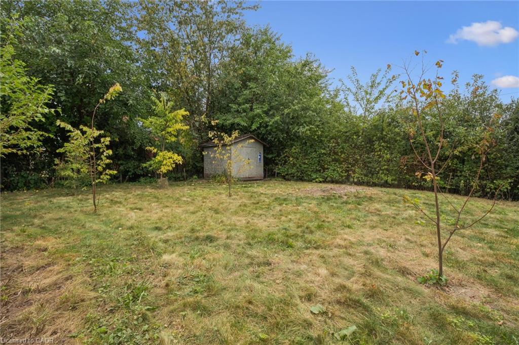 35 Acacia Street Property Photo 22