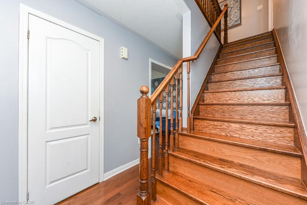 2-6 Ventura Avenue Property Photo 24