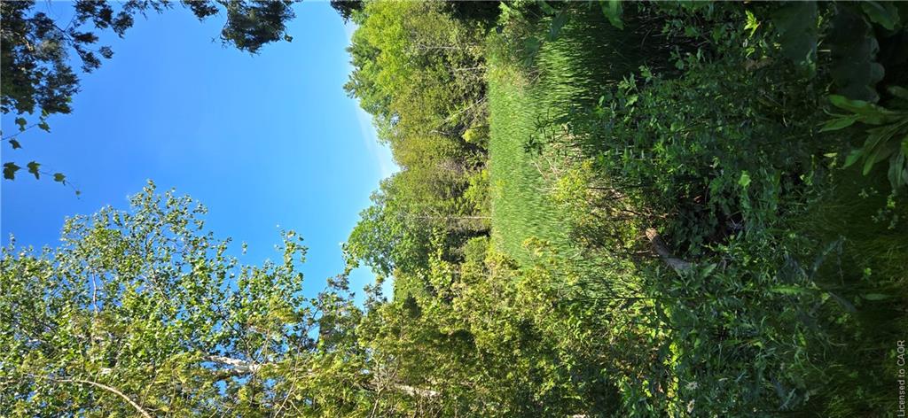 29-1085 Concession 10 Road Property Photo 5