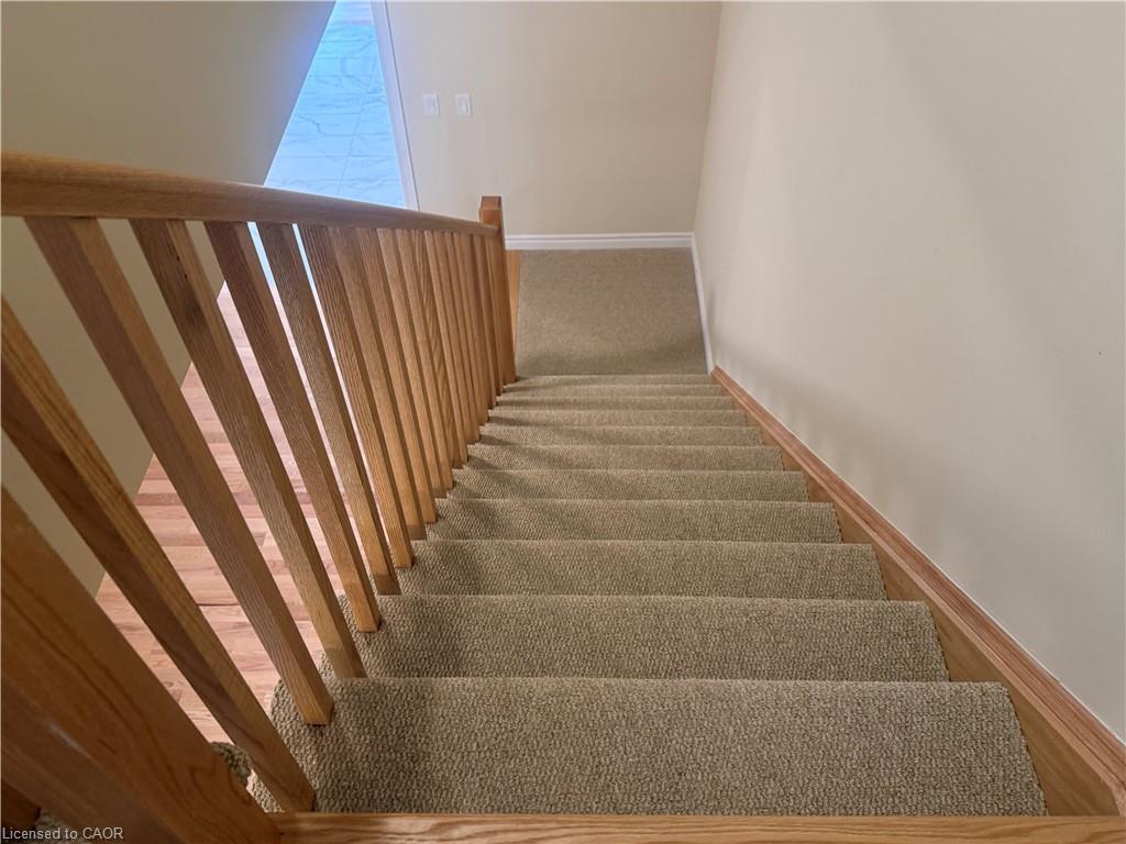 15 Chapman Road Property Photo 22