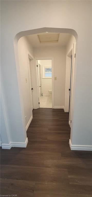51 Joseph Street Property Photo 9