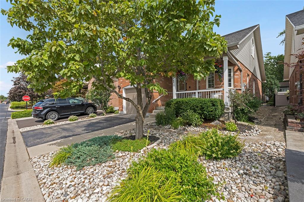 311 Malick Street Property Photo 3