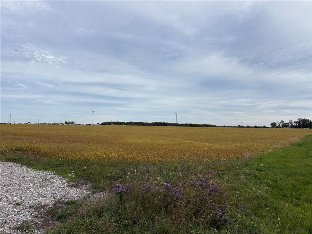 1071 Kohler Road Property Photo 1