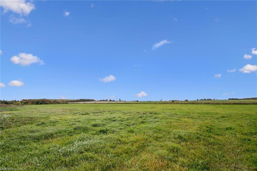 8449 Line 2 Property Photo 15