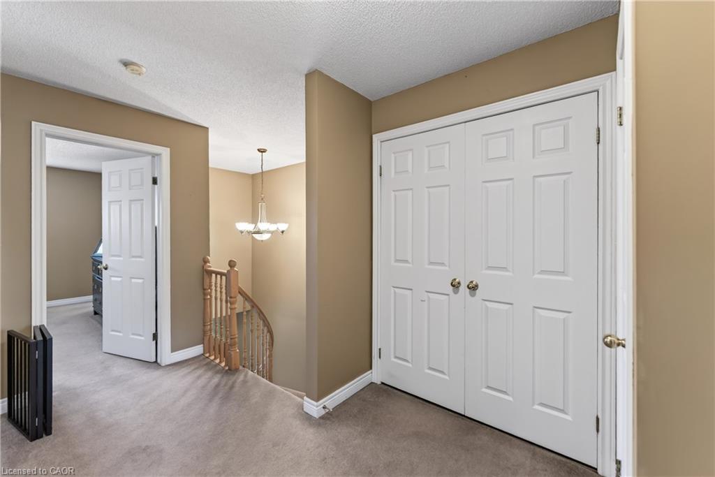 11 Elderberry Avenue Property Photo 21