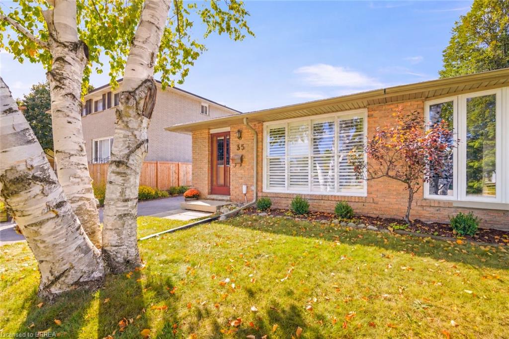 35 Ivanhoe Road Property Photo 3