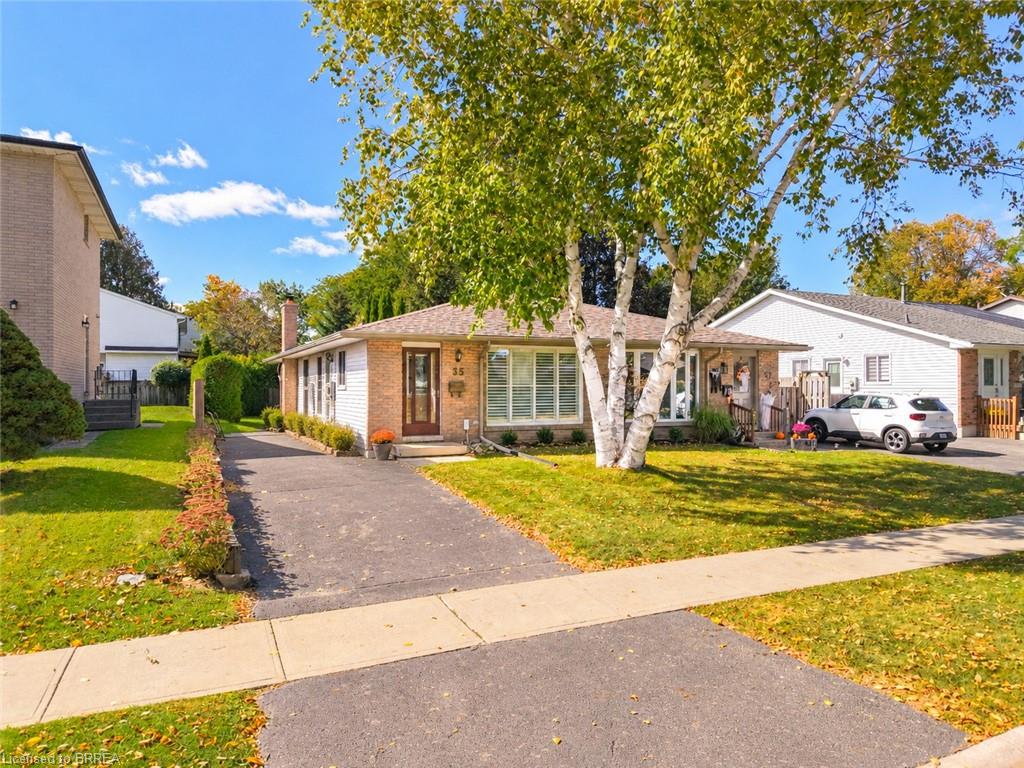 35 Ivanhoe Road Property Photo 41