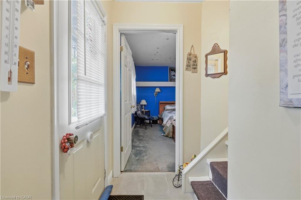 338 Albany Street Property Photo 20