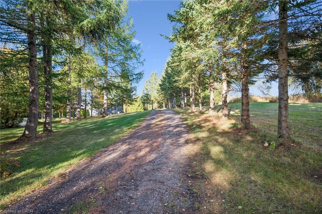 152043 12th Line Property Photo 41