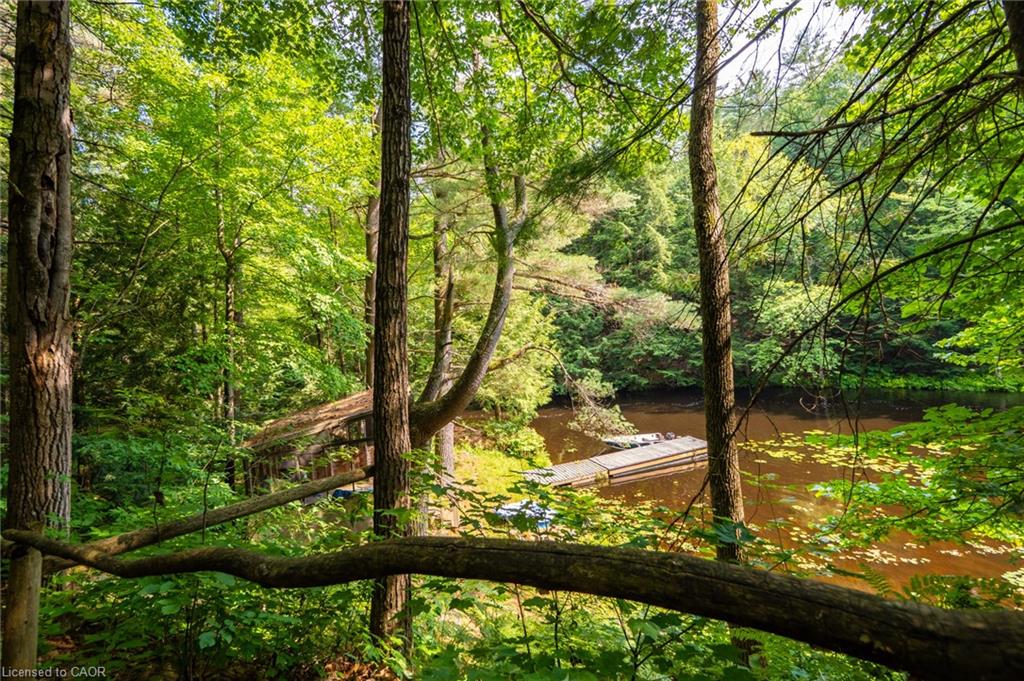 1622 Housey's Rapids Road Property Photo 26