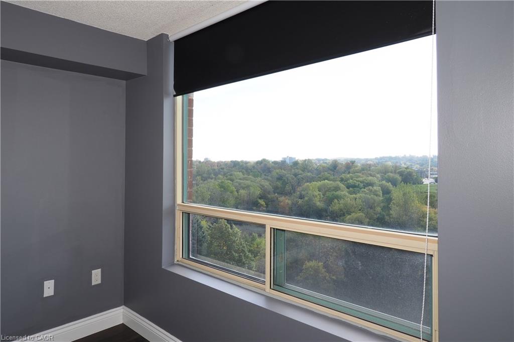 55 Blue Springs Drive Property Photo 25