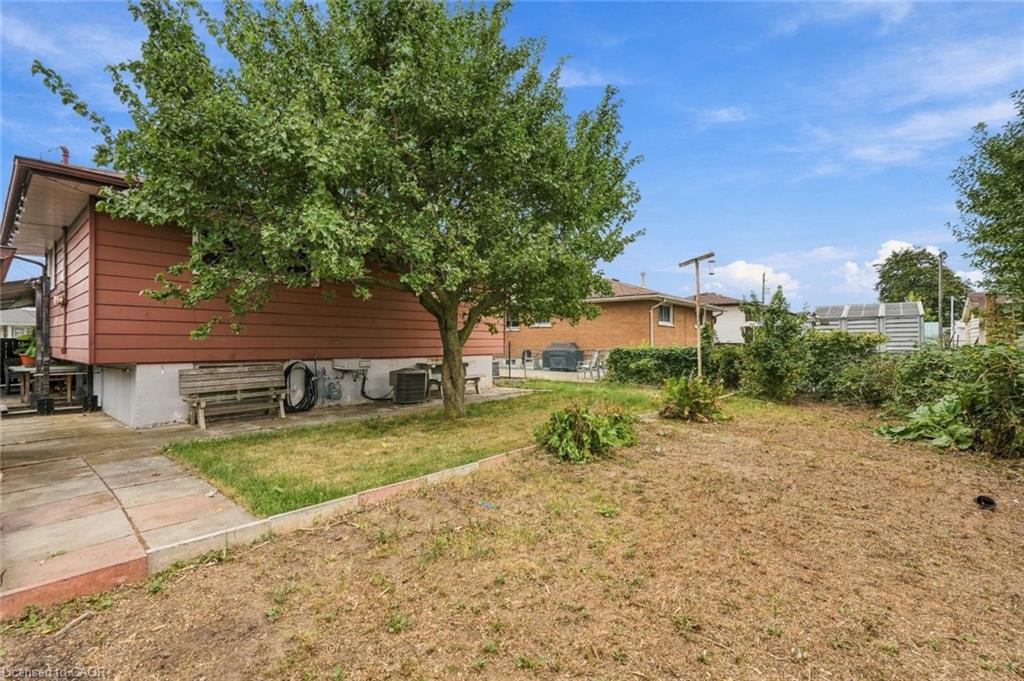 19 Ellingwood Avenue Property Photo 23