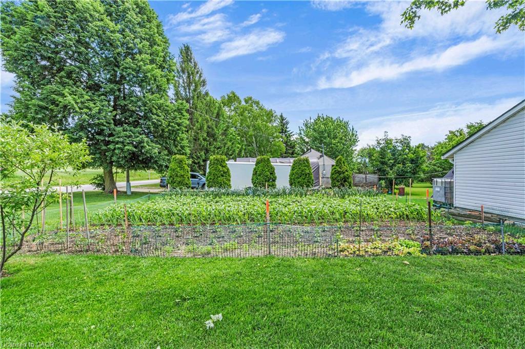 117 Helena Street Property Photo 38