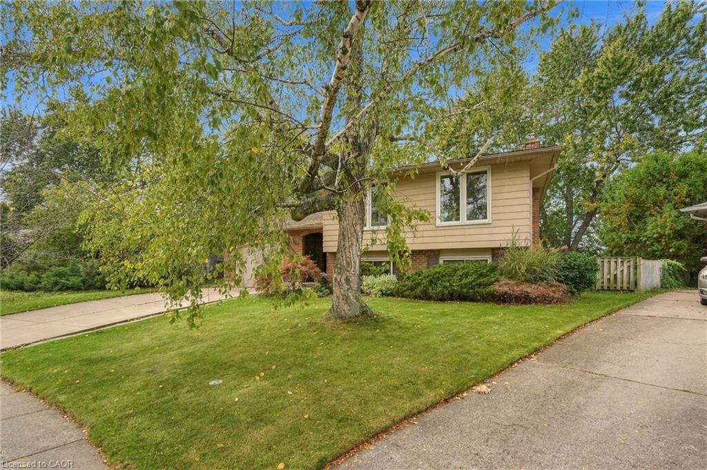 3107 Ussher Street Property Photo 4