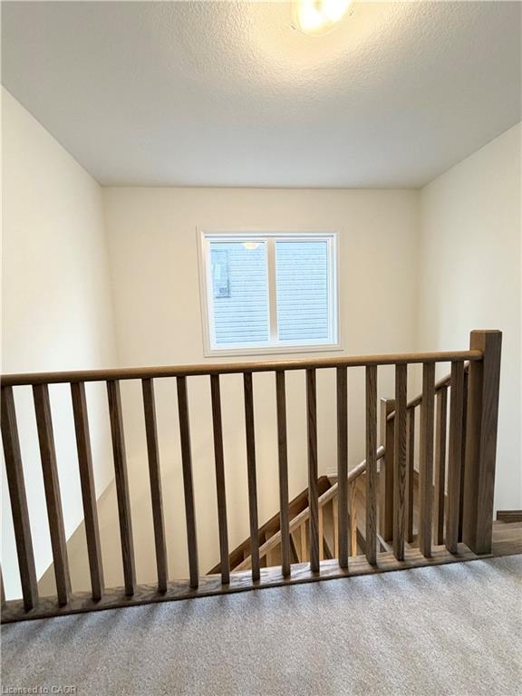 12 Scotch Thistle Lane Property Photo 33