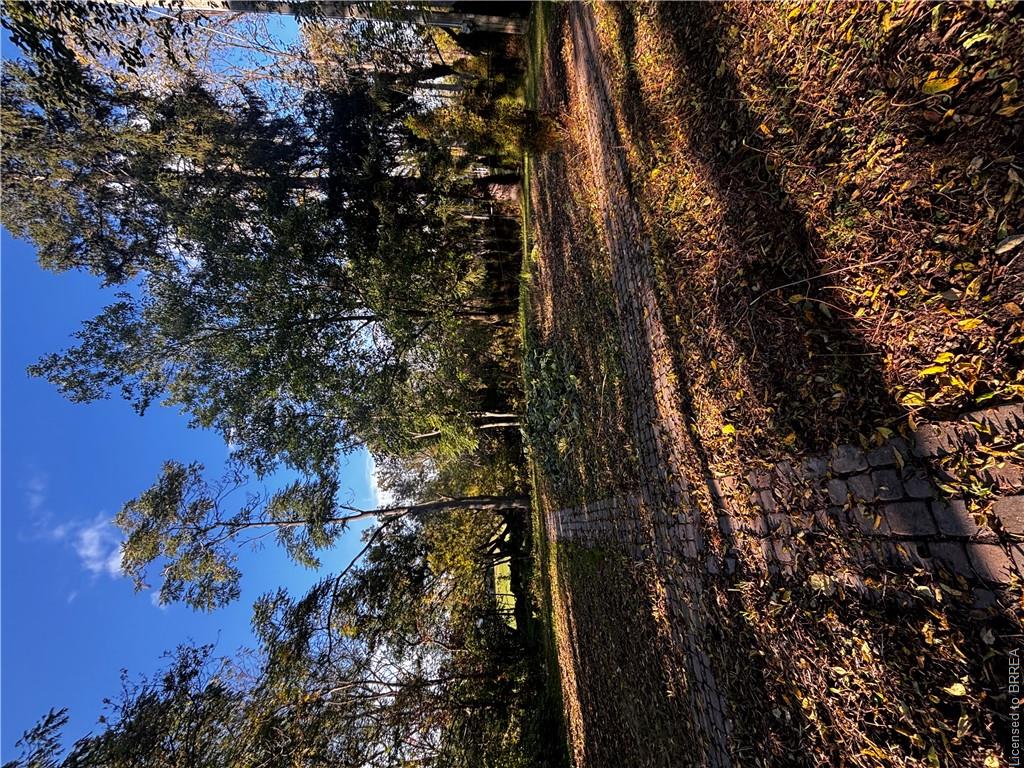 573 Mount Pleasant Road Property Photo 3