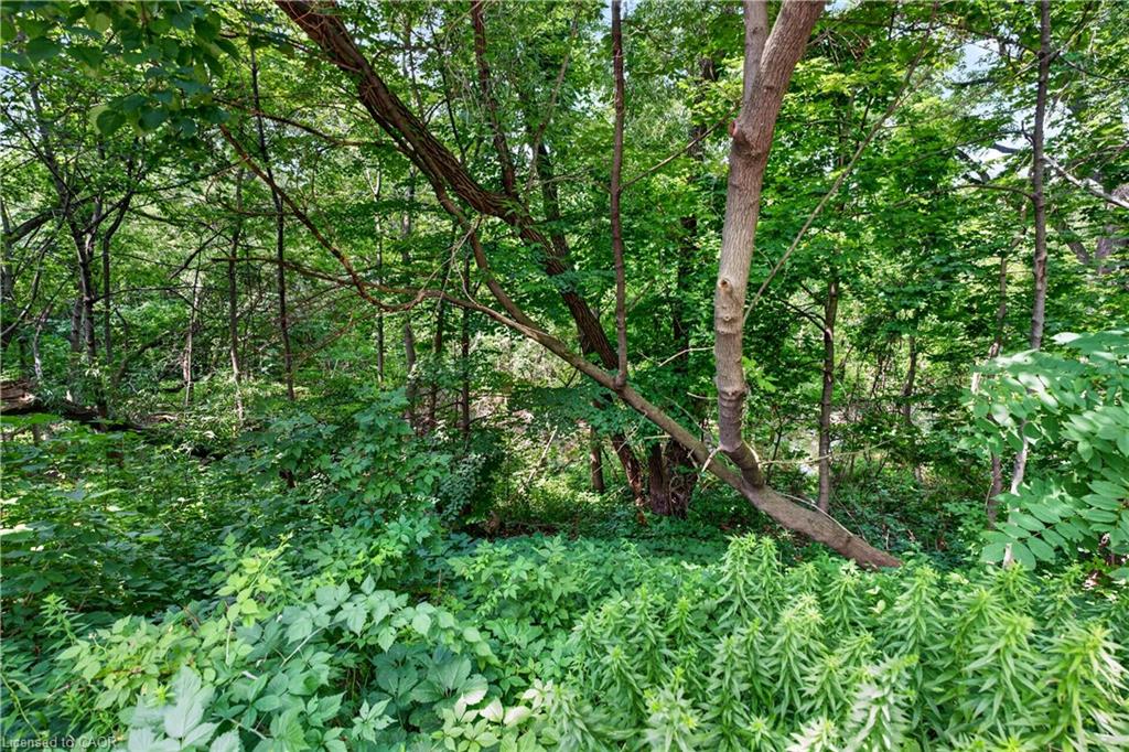 203-966 Queenston Road Property Photo 32