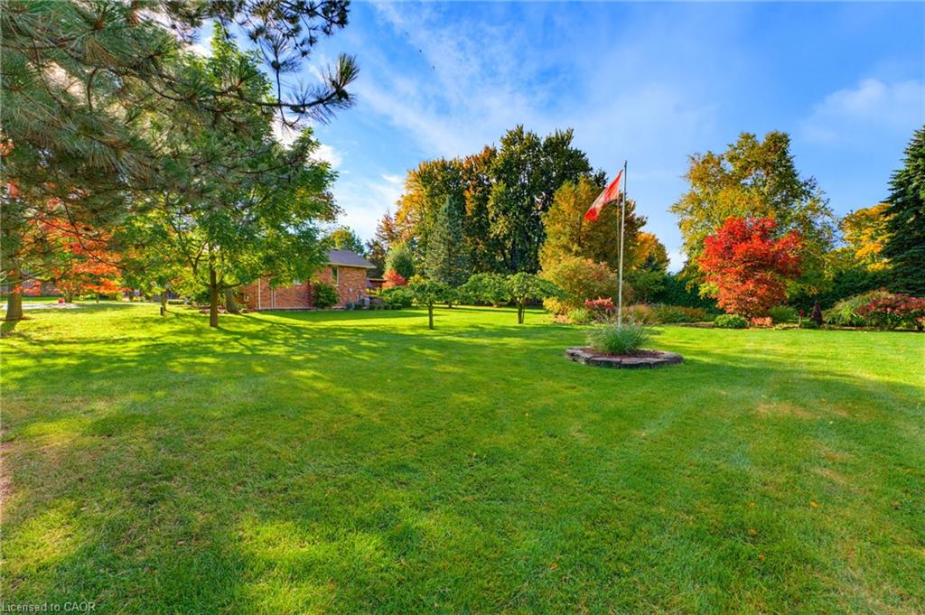 161 James Street Property Photo 4