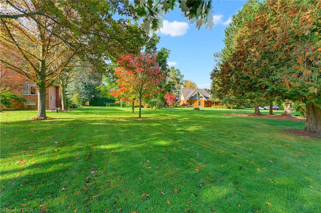161 James Street Property Photo 6