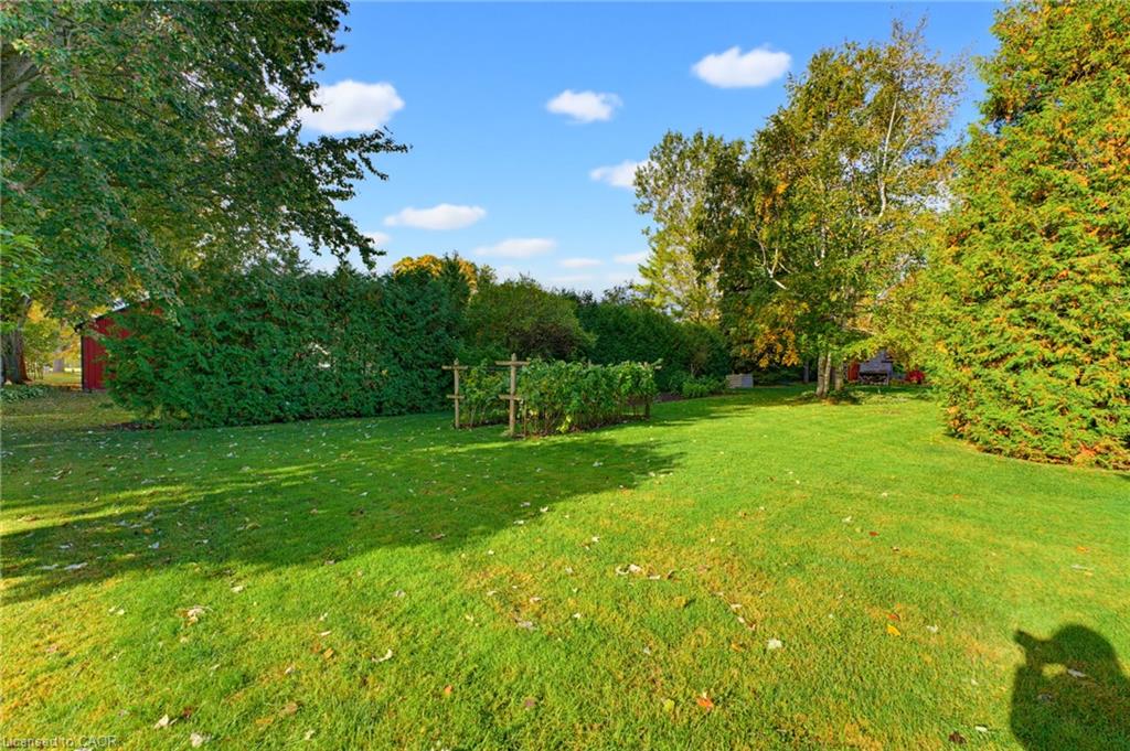 161 James Street Property Photo 7