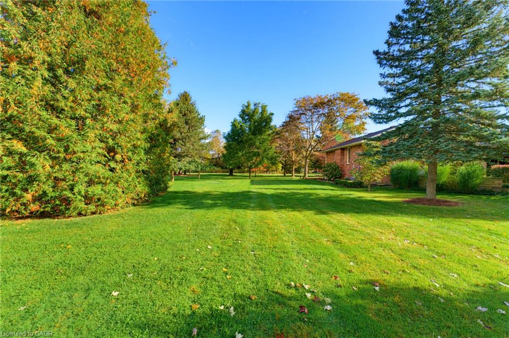 161 James Street Property Photo 9
