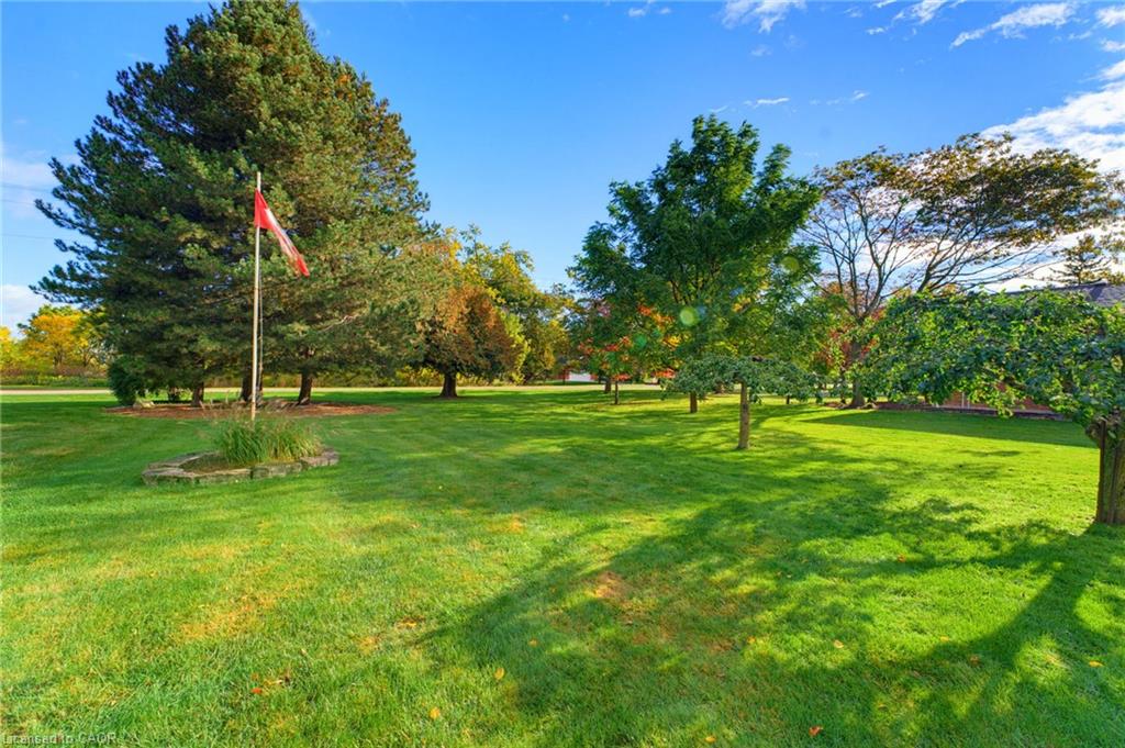 161 James Street Property Photo 13
