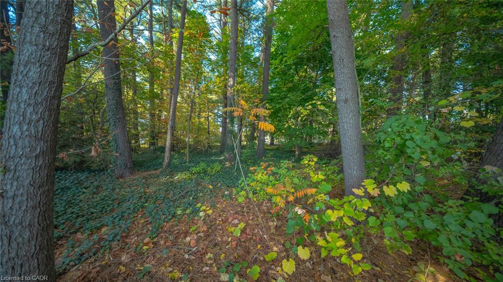 643 Gage Street Property Photo 4