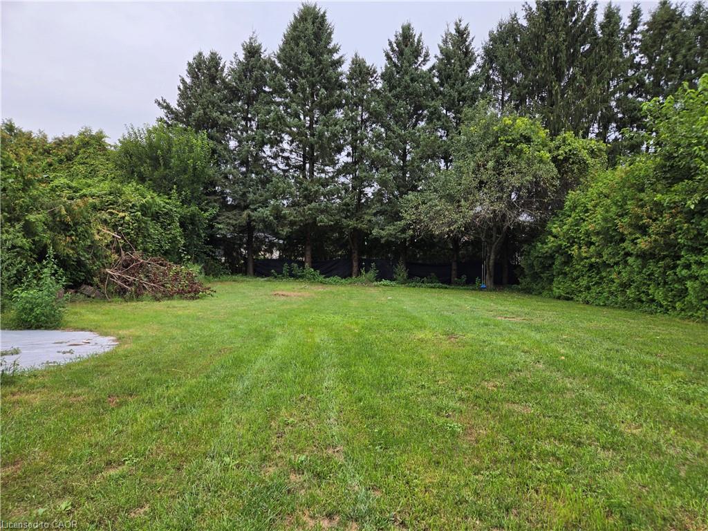8 Lyndhurst Avenue Property Photo 6
