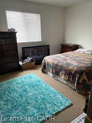 58 Dallan Drive Property Photo 11