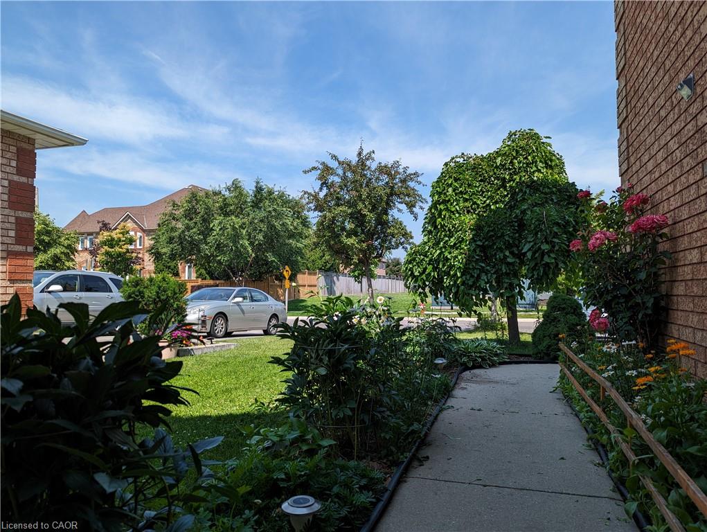 6923 Dillingwood Drive Property Photo 3