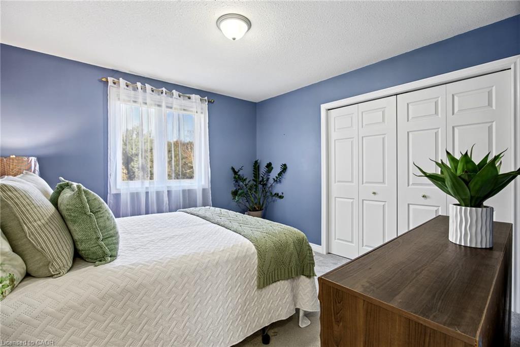 15 Patrick Drive Property Photo 32