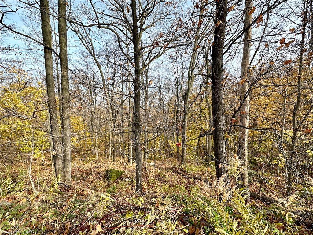 49 Ridge Road E Property Photo 19