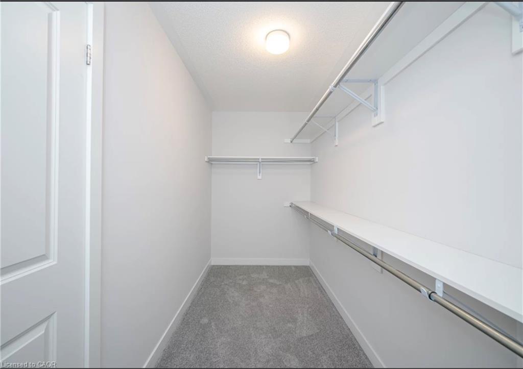 15 Bird Street Property Photo 15