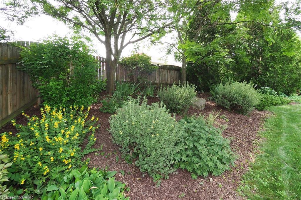 559 Springwater Drive Property Photo 38