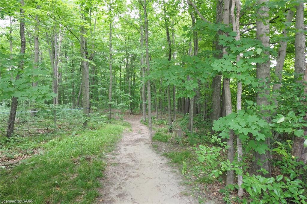 559 Springwater Drive Property Photo 41