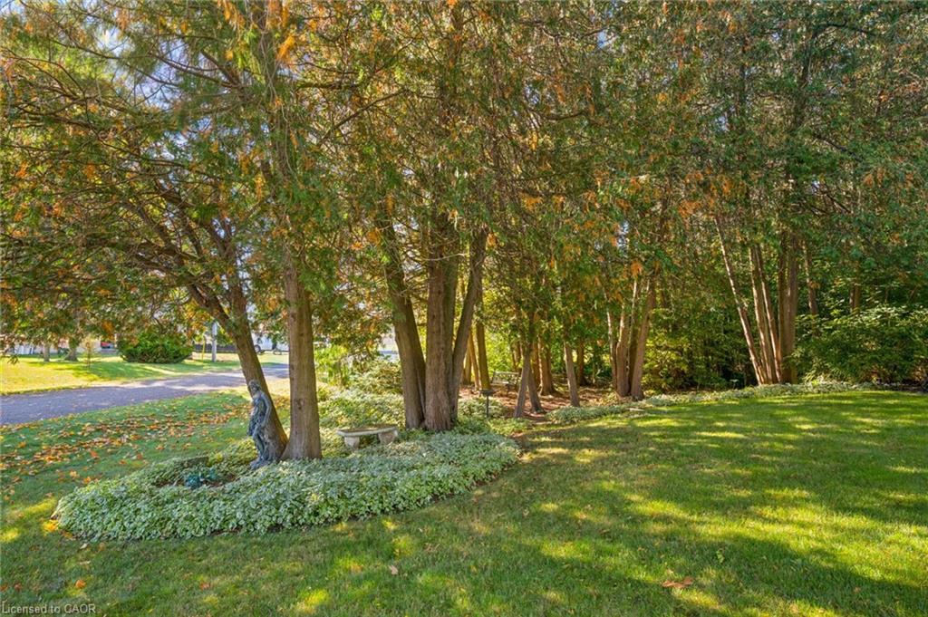 42 Greenwood Road Property Photo 6