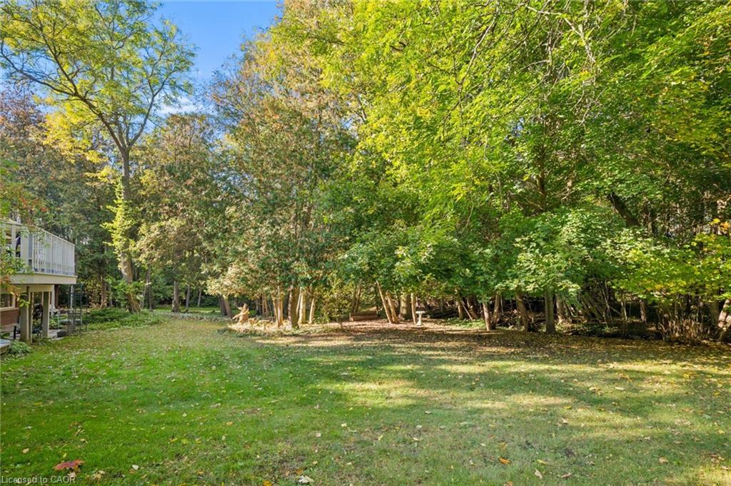 42 Greenwood Road Property Photo 43