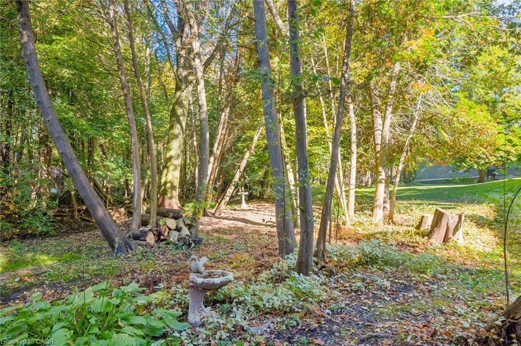 42 Greenwood Road Property Photo 46