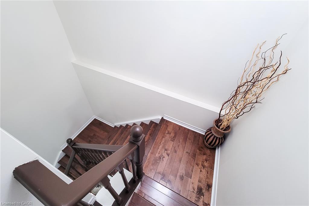 41 Vennio Lane Property Photo 39