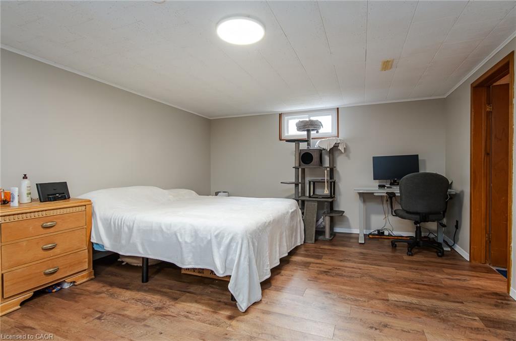 13 Lewis Street Property Photo 44