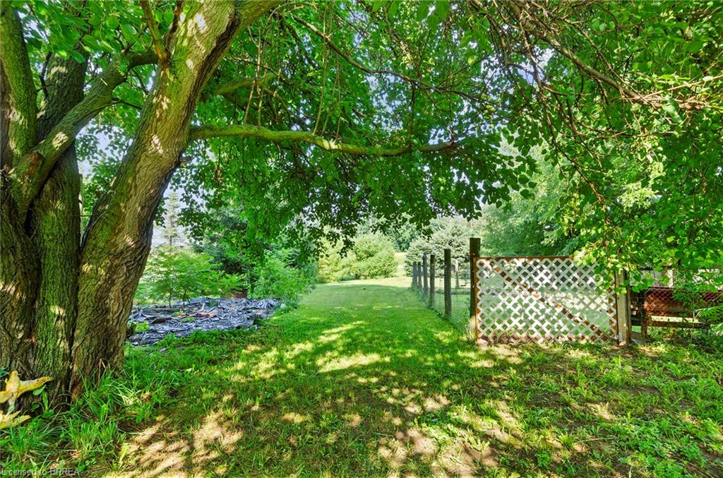 251 Highway 53 Property Photo 21