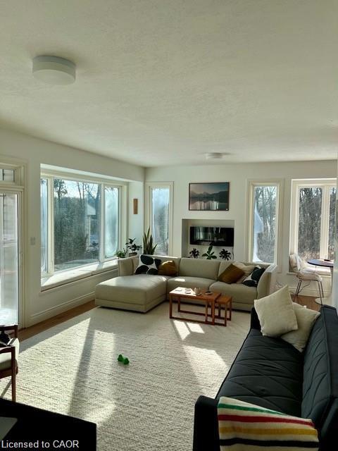 1387 Milburough Line Property Photo 35