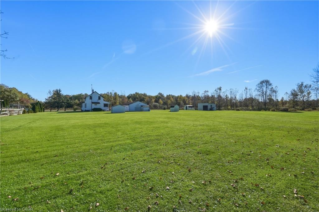 9943 Ort Road Property Photo 17