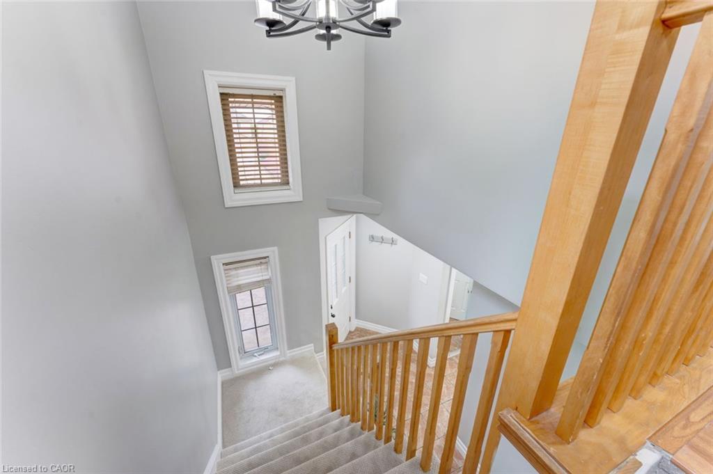 133 Steepleridge Street Property Photo 23