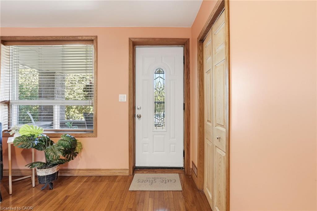 42 Dalhousie Avenue Property Photo 6