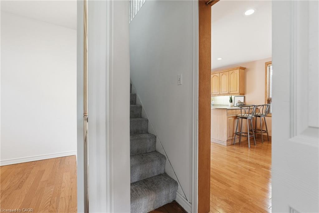 42 Dalhousie Avenue Property Photo 27