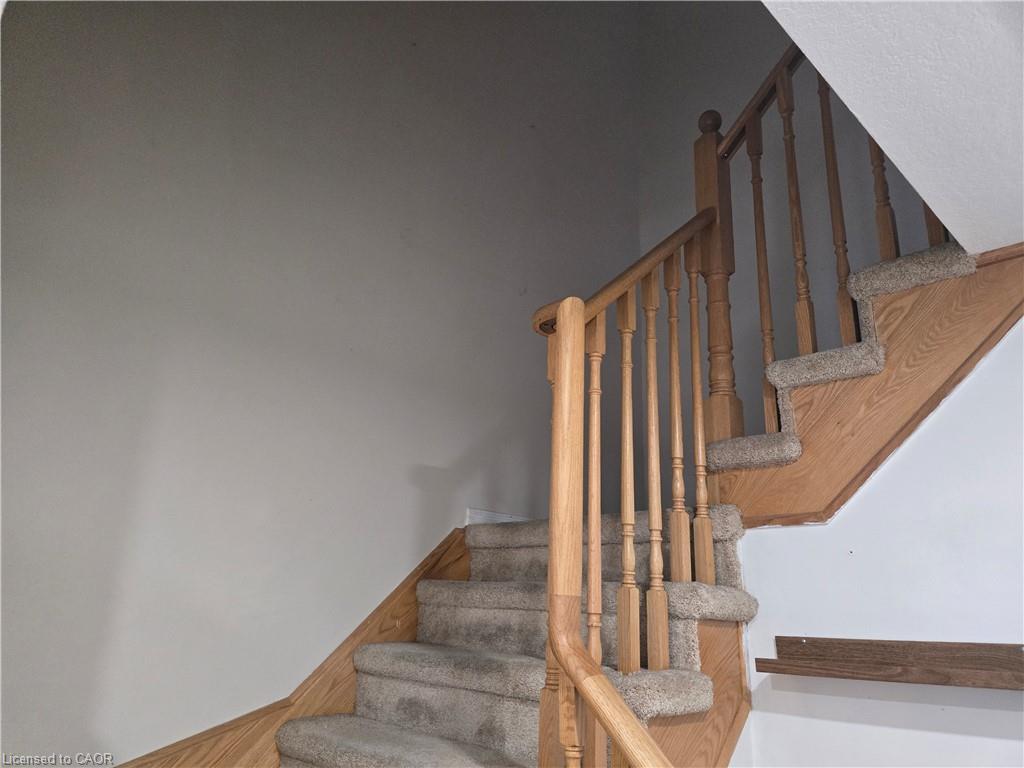 39 Newport Crescent Property Photo 15