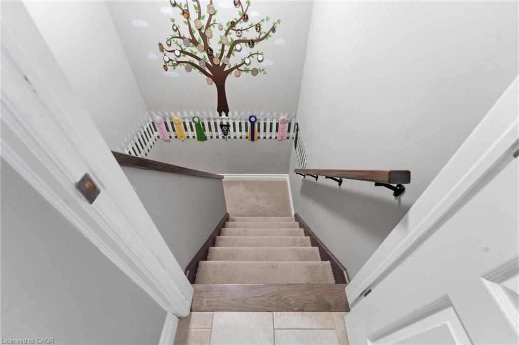 10 Nyah Court Property Photo 23